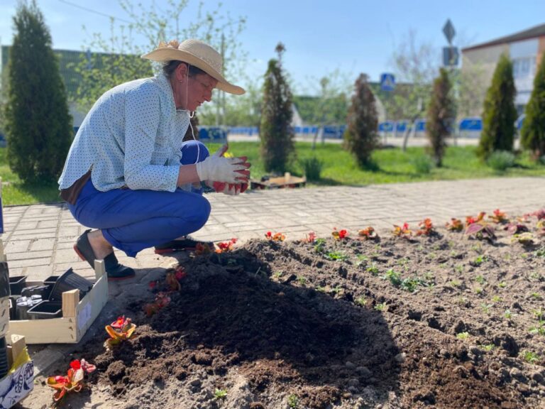 КЖЭУП «ЕЛЬСКОЕ» высаживают бархатцы по ул. Козинцева
