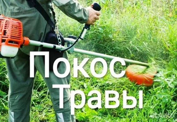 Поадресный график покоса сорной растительности