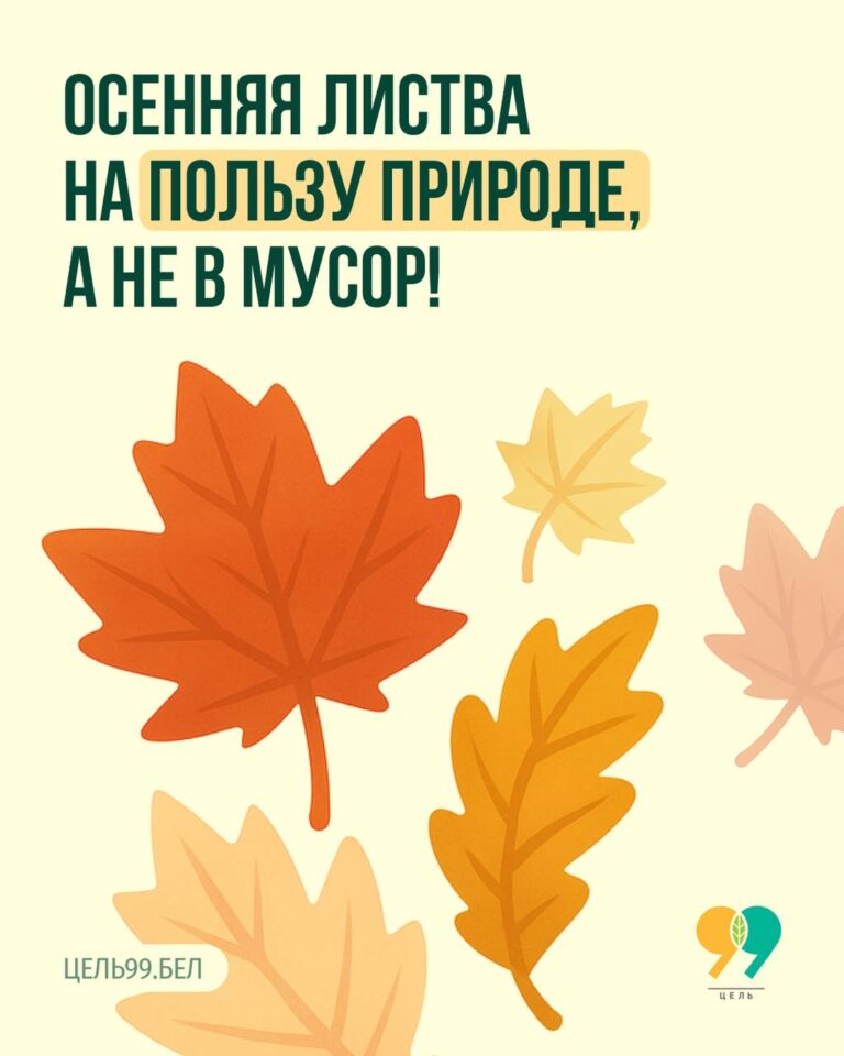 Друзья, вы всё ещё сжигаете осенние листья или считаете их ненужными отходами?
