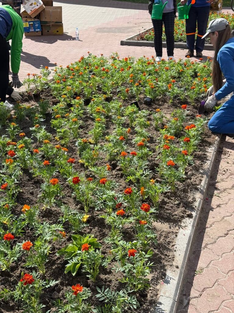 КЖЭУП «Ельское» превращает центр города в сад! 🌸